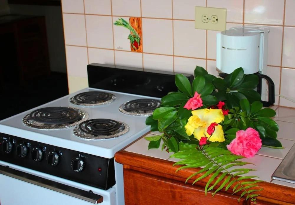 Hotel Ecological Inn San Jose  Ngoại thất bức ảnh
