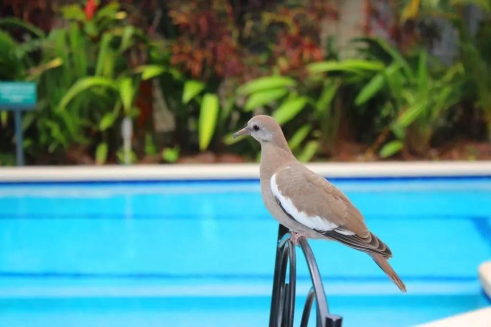 Hotel Ecological Inn San Jose  Ngoại thất bức ảnh