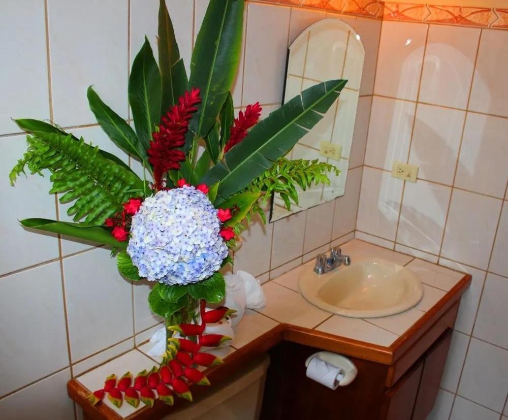 Hotel Ecological Inn San Jose  Ngoại thất bức ảnh