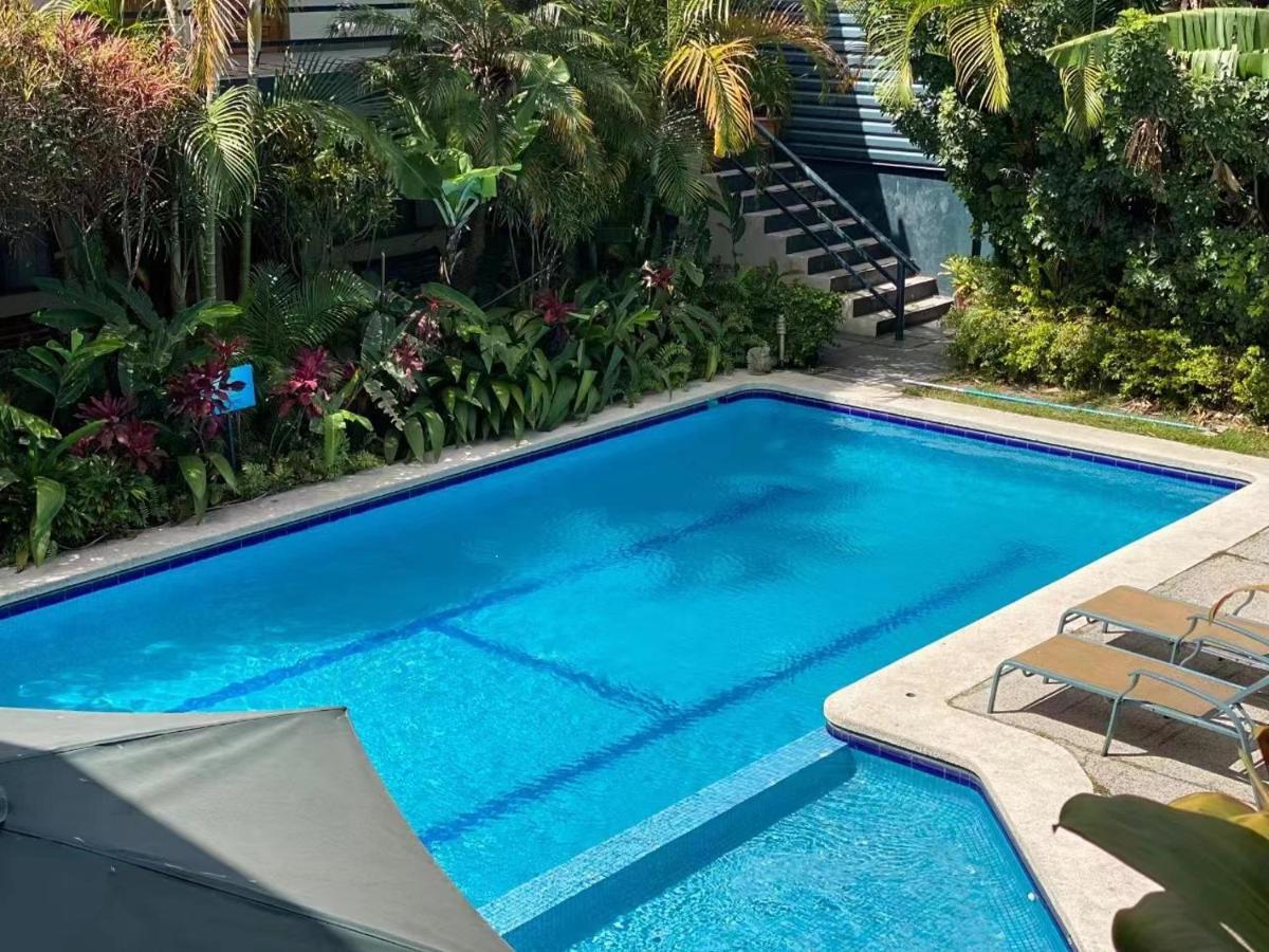 Hotel Ecological Inn San Jose  Ngoại thất bức ảnh