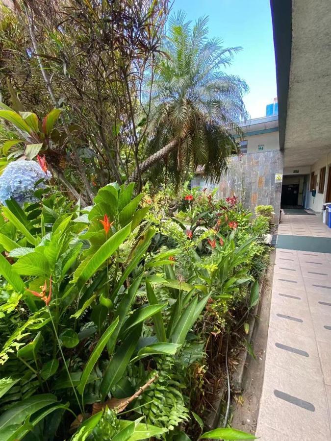 Hotel Ecological Inn San Jose  Ngoại thất bức ảnh